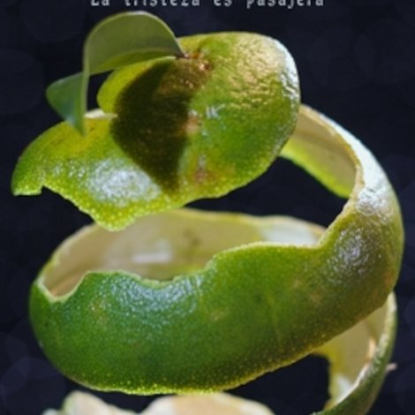 Naranjas Sin Piel