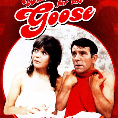 What's Good for the Goose