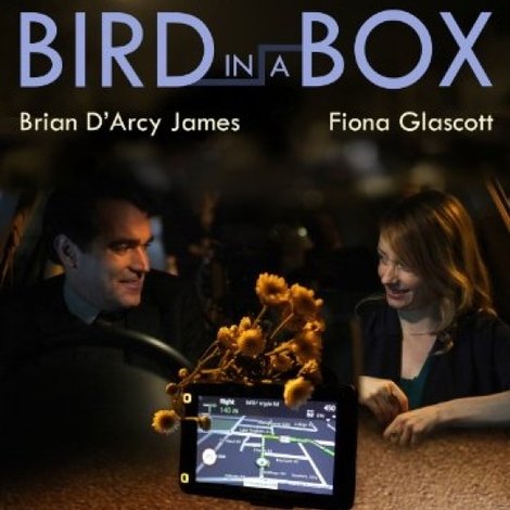 Bird in a Box
