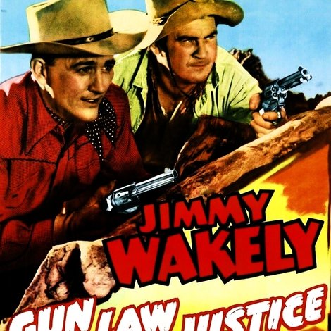 Gun Law Justice