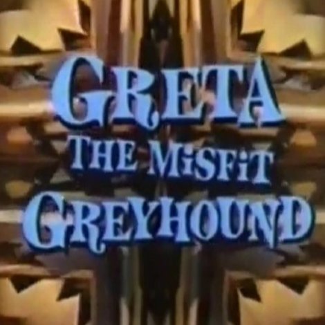 Greta, the Misfit Greyhound