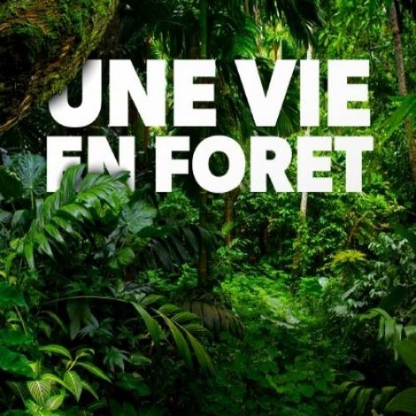 Une vie en forêt