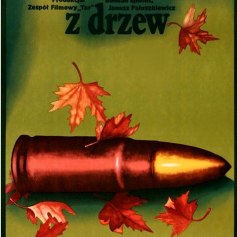 Opadły liście z drzew