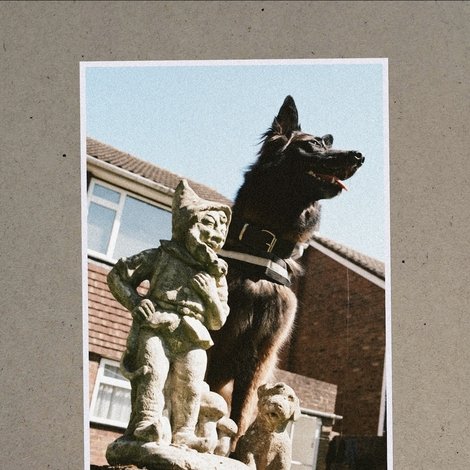 K-9INE!