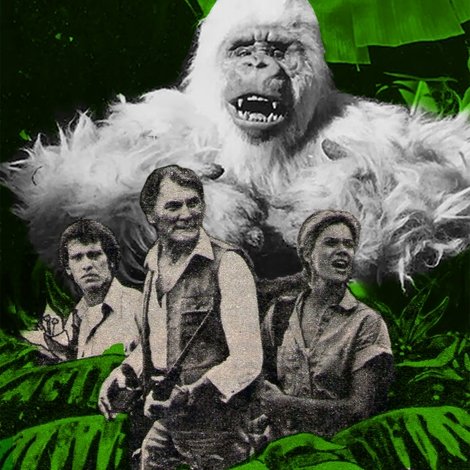 The Ivory Ape