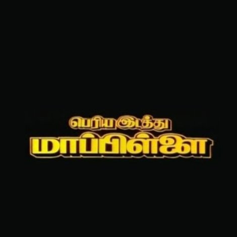 Periya Idathu Mappillai