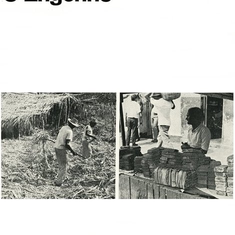 O Engenho