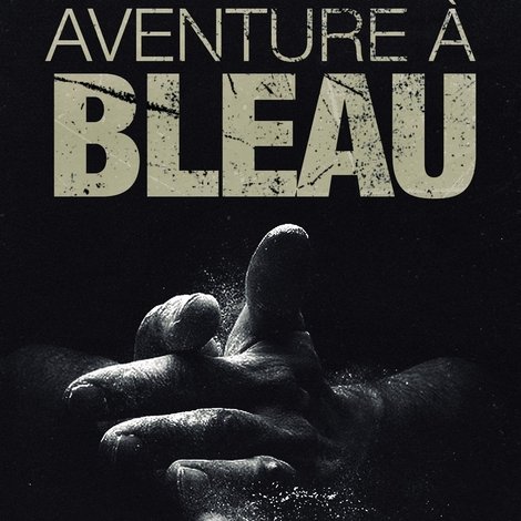 Aventure à Bleau