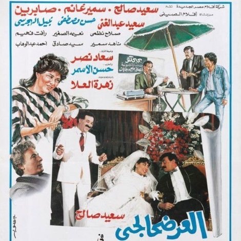 العرضحالجي في قضية نصب