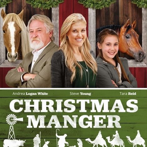 Christmas Manger