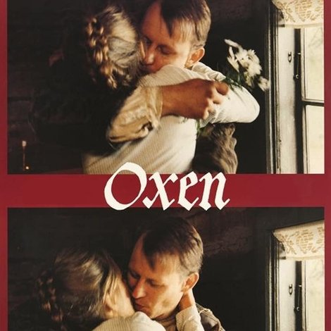Oxen