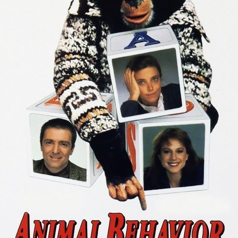 Animal Behavior