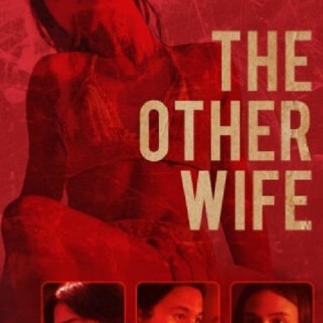 The Other Wife