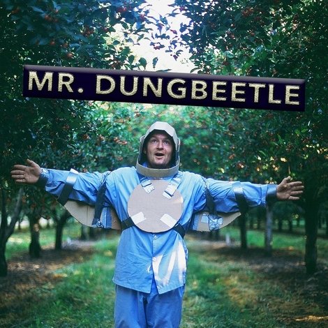 Mr. Dungbeetle