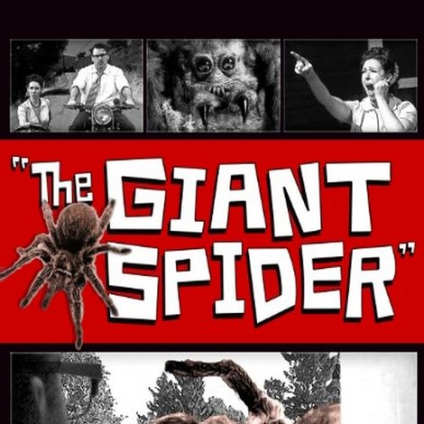 The Giant Spider