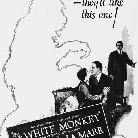 The White Monkey