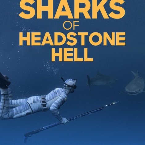 The Sharks Of Headstone Hell