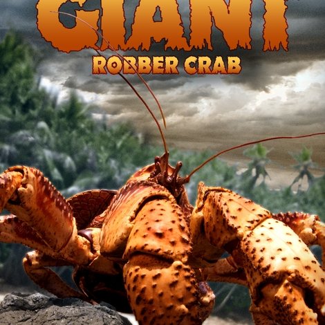 The Giant Robber Crab