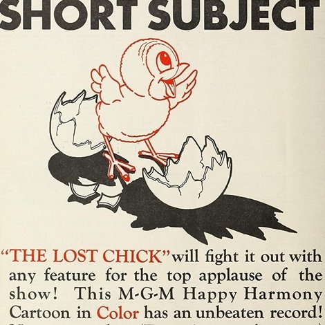The Lost Chick