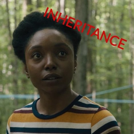 Inheritance