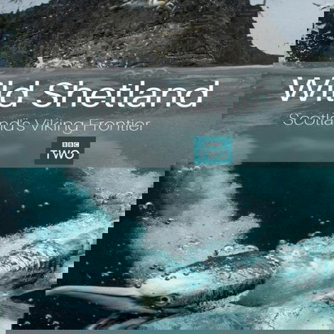 Wild Shetland: Scotland's Viking Frontier