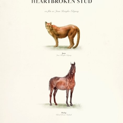 The Lonely Cougar and the Heartbroken Stud