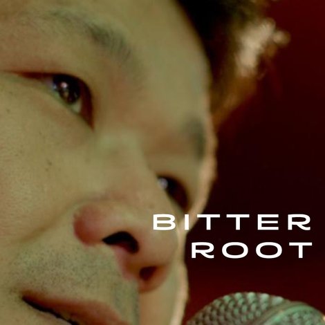 Bitterroot