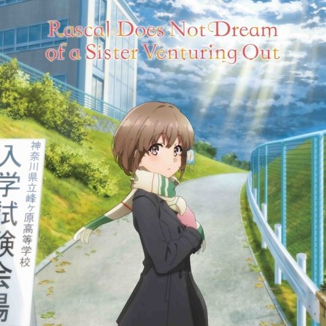 青春ブタ野郎はおでかけシスターの夢を見ない