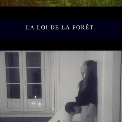 La loi de la forêt