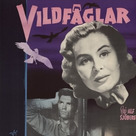 Vildfåglar