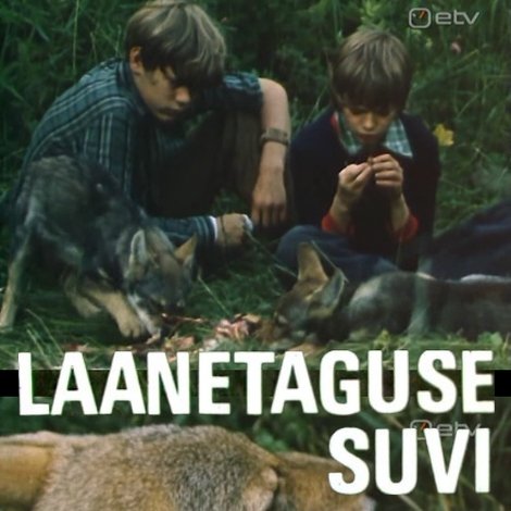 Laanetaguse suvi