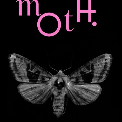 Moth