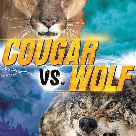 Cougar v. Wolf