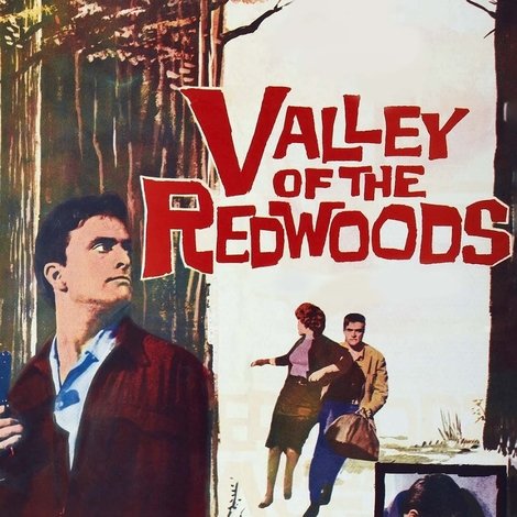 Valley of the Redwoods