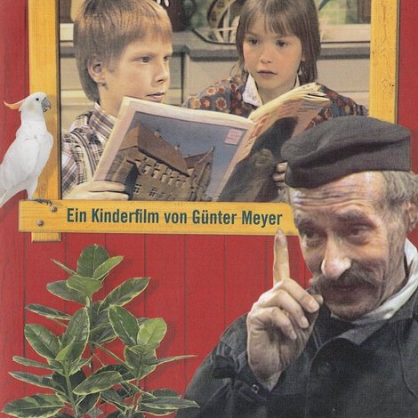Wenn's donnert, blüht der Gummibaum