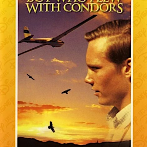 The Boy Who Flew with Condors
