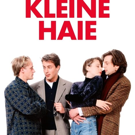 Kleine Haie
