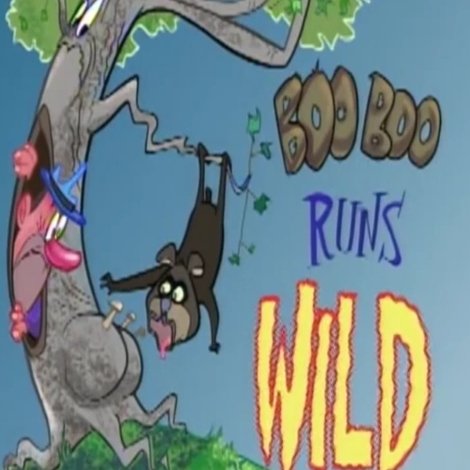Boo Boo Runs Wild
