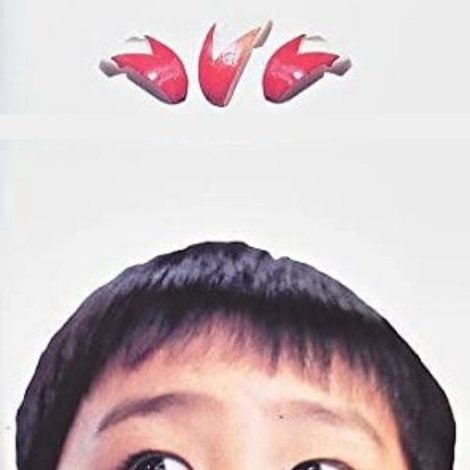 林檎のうさぎ