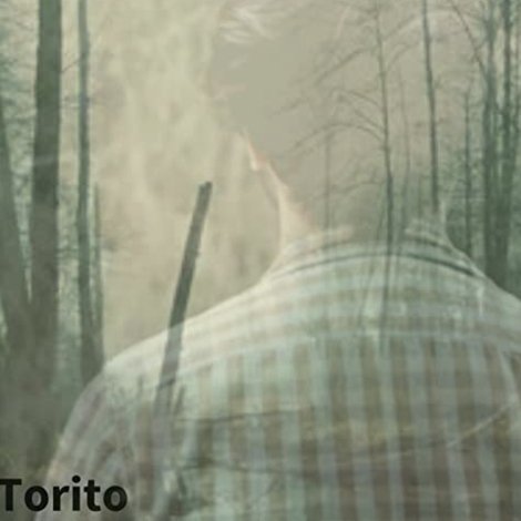 Torito