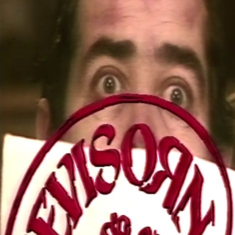 Revisorn