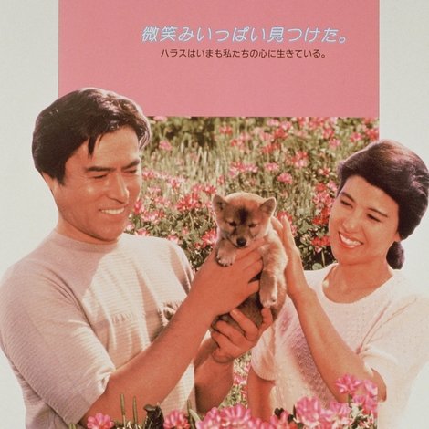 ハラスのいた日々