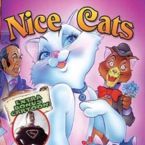 Artige Katzen