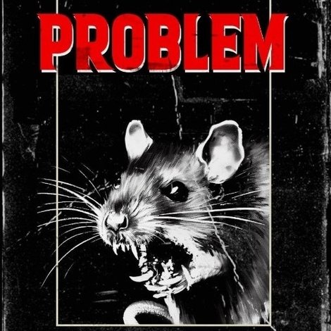 Rat Problem