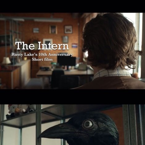 The Intern
