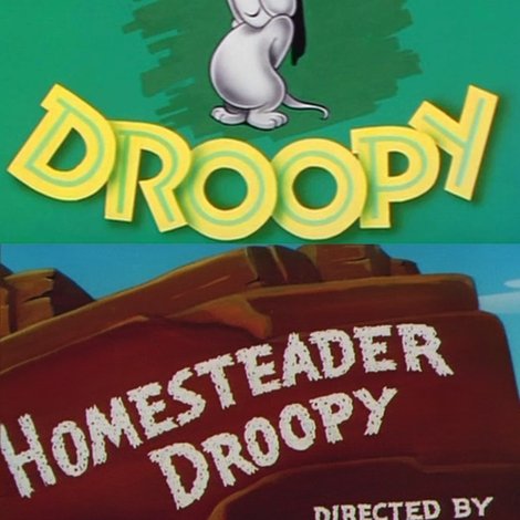 Homesteader Droopy