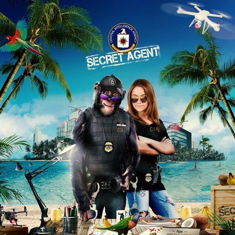 C.I.Ape