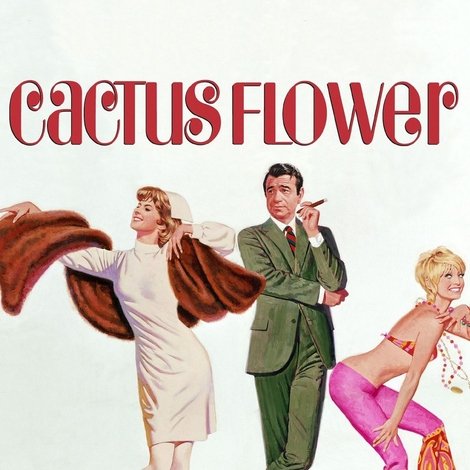 Cactus Flower