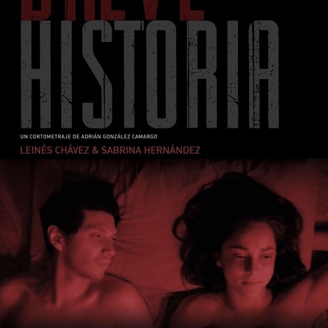 Una breve historia