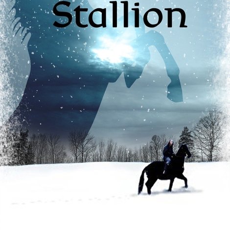 The Winter Stallion